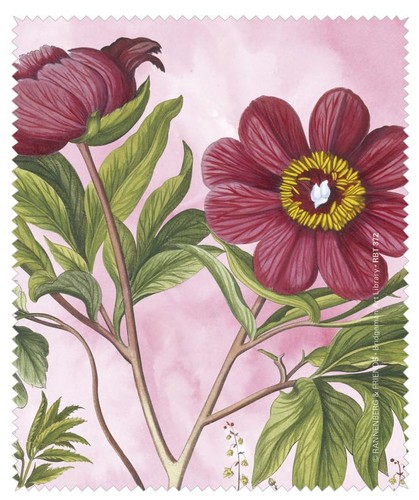 Florales brillenputztuch mit - florales,