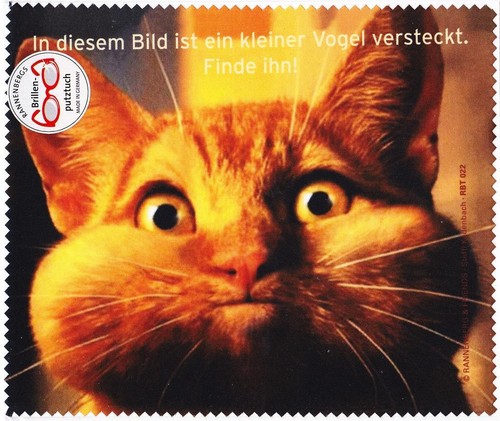 Microfasertuch/Brillenputztuch