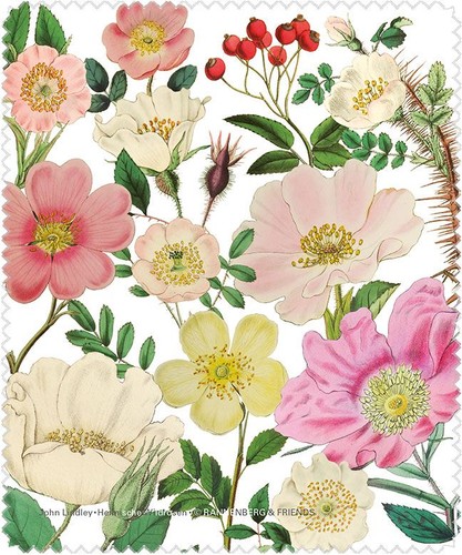 Brillenputztuch lindley s - brillenputztuch, "lindley´s